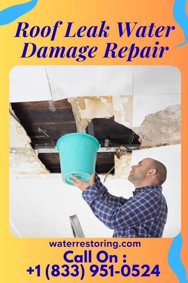 Roof Leak Water Damage Repair in Westover Hills, TX