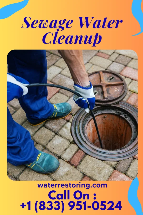 Sewage Water Cleanup in Westover Hills, TX